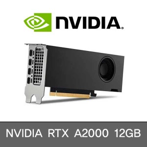 NVIDIA RTX A2000 12GB 4mDP